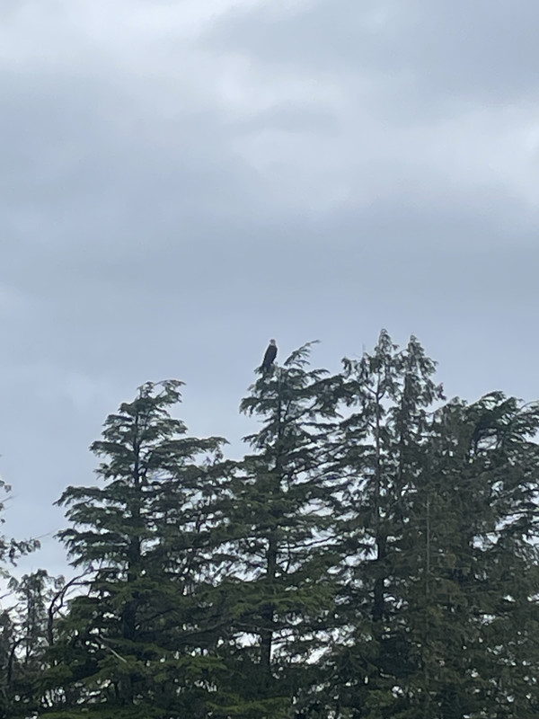 IMG_8137