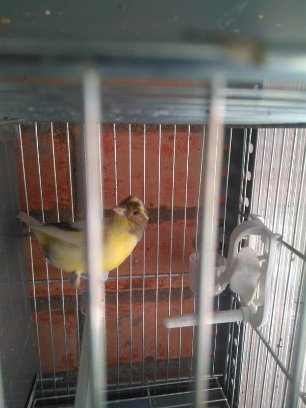 5f2c981e-f0d7-4d0c-a0ee-0fe408b6a0de