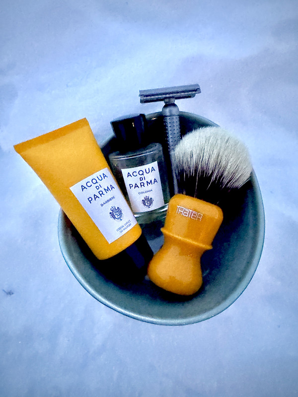 SOTD 20241228