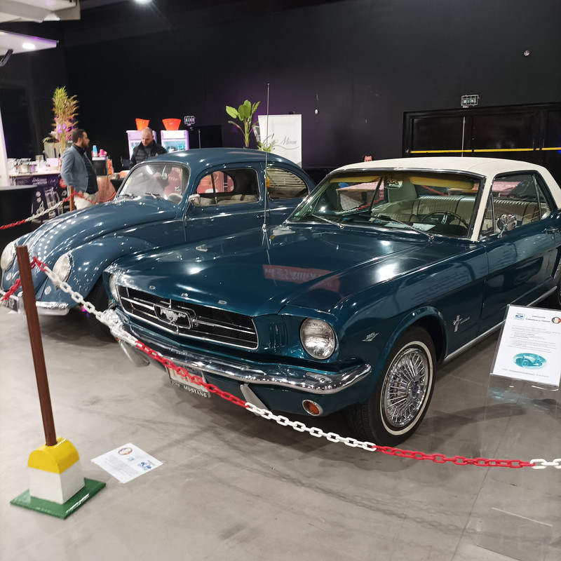 IMG_20221024_102518