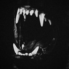 https://i.postimg.cc/L62gvTF2/00002.png
