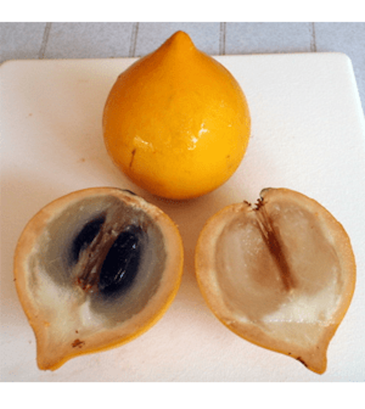 Health-benefits-of-Abiu-Fruit