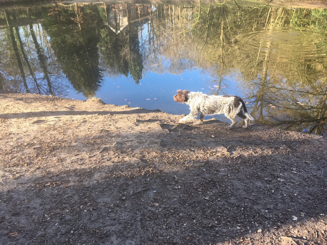 2025-18-03 Claire eenden 3 IMG_4789 (002)