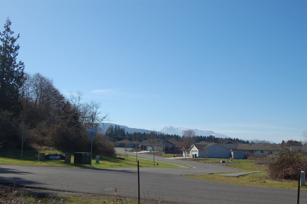 [Image: DSC-0015.jpg]