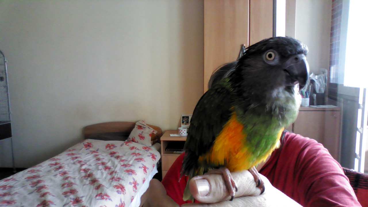 WIN_20180505_08_00_54_Pro