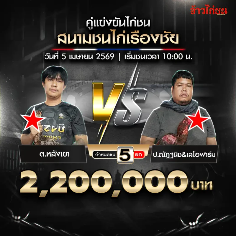 โปรแกรมไก่ชน คู่ ต.หลังเขา vs ป.ณัฎฐนิช และ เลโอฟาร์ม สนามชนไก่เรืองชัย