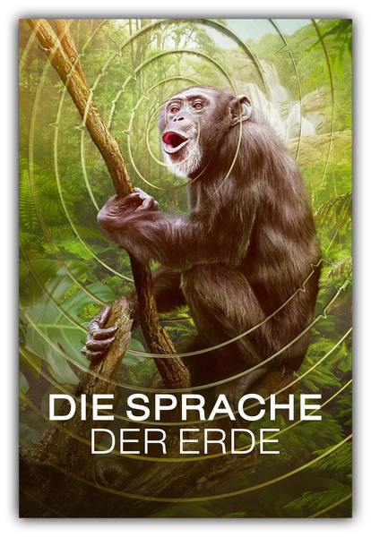 Marian1.png