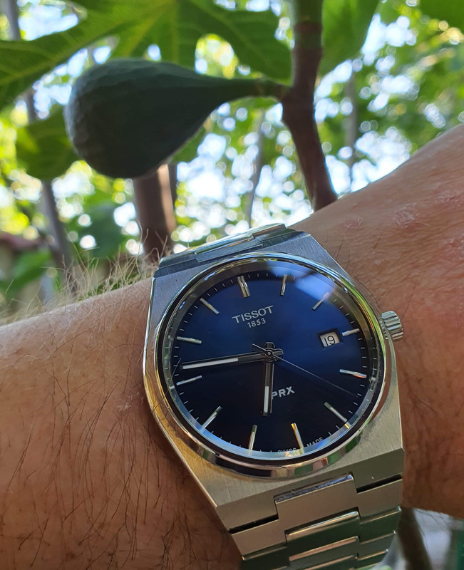 0B990BF6-E79A-479F-8C91-1678A98DCB79