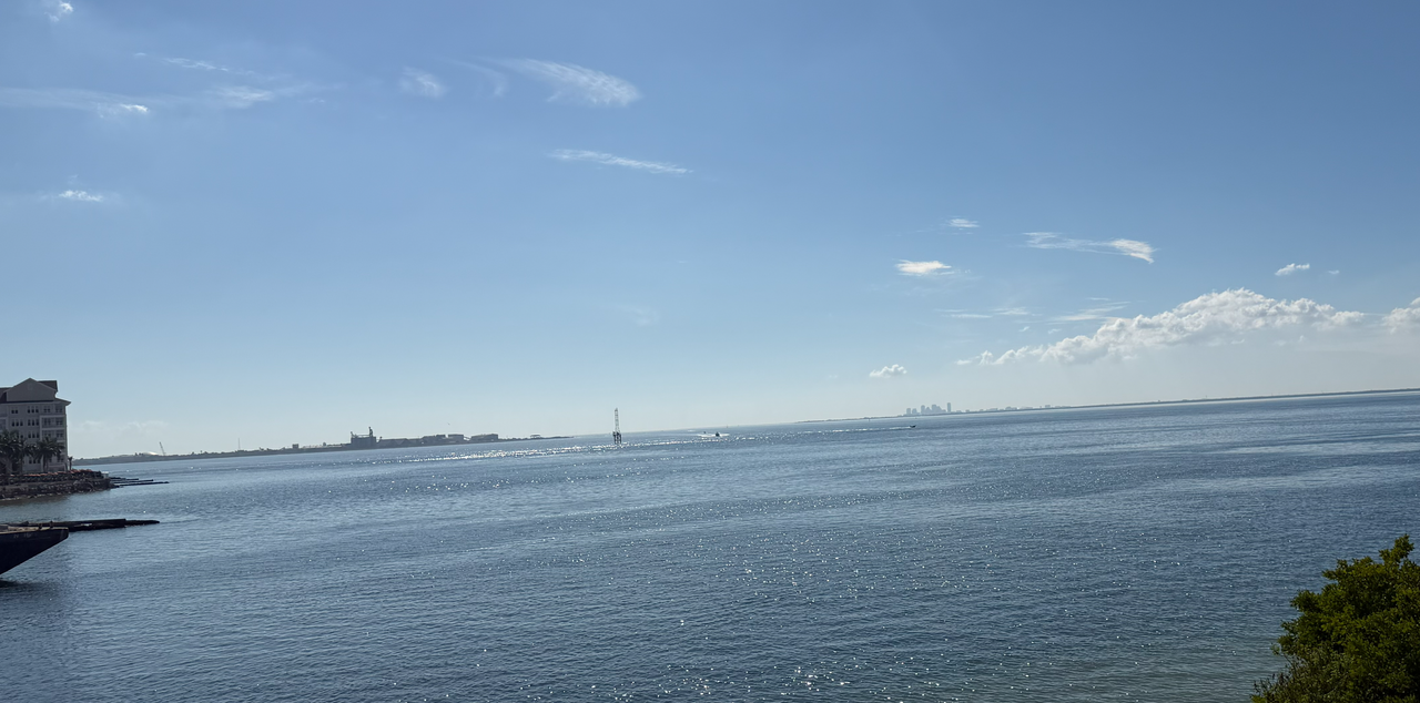 [Image: GAndy-Bridge-Tampa-Fla2A.png]
