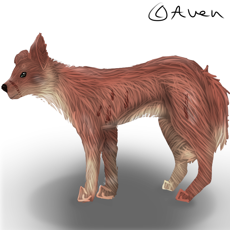 65F0BFAD-2041-434E-A9F0-F4278565674E