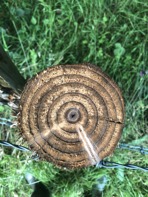 7C757022-9493-4C46-AA11-54BEF7B006FA