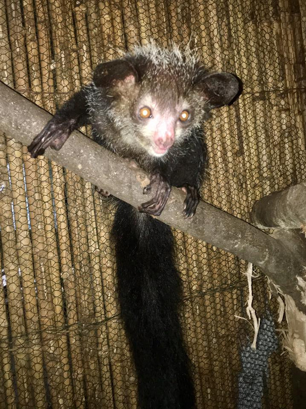 18739688-10154485548785703-2194115891544