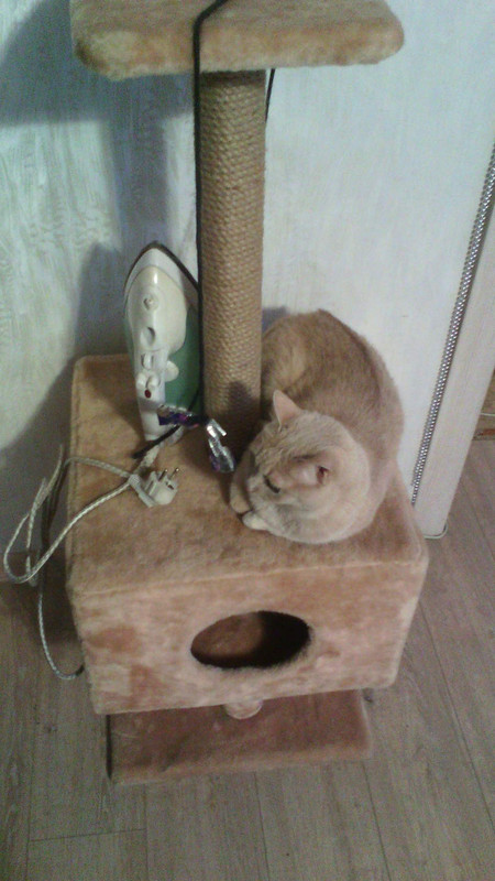 image.jpgпрсльнгщдша7шз