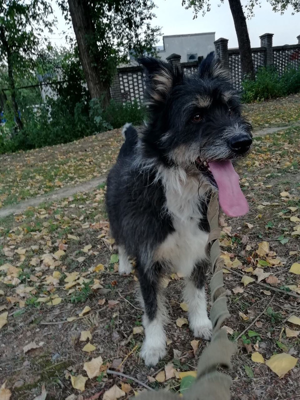 C579BCA5-07C2-4A83-B7F5-CC6C36978FA2