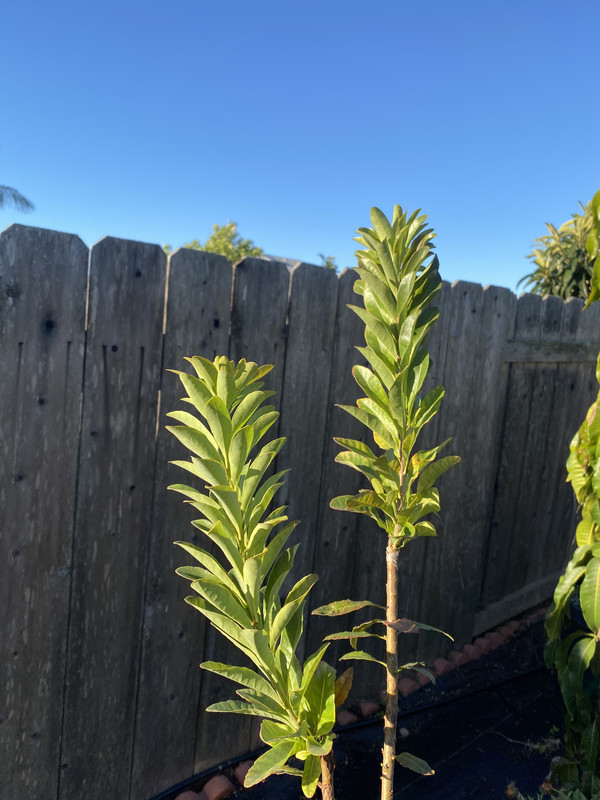 C47B3E16-326D-4A07-A771-2244BE4F1266