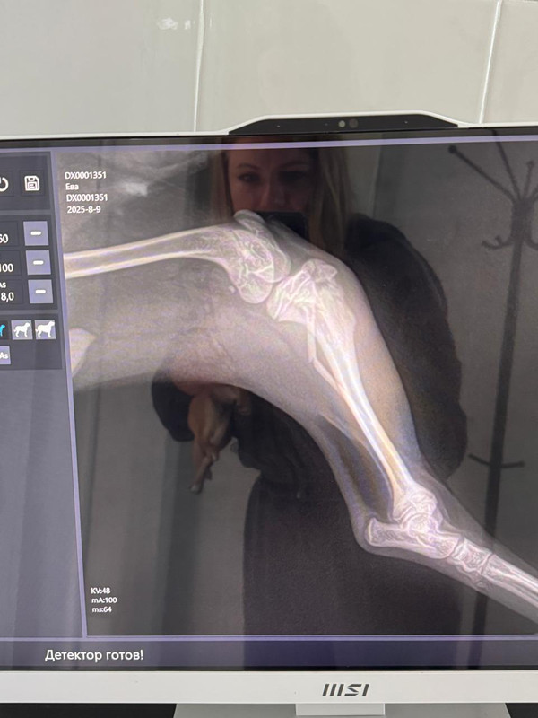 da6343c1-b870-4050-bb4b-b968f1b33187