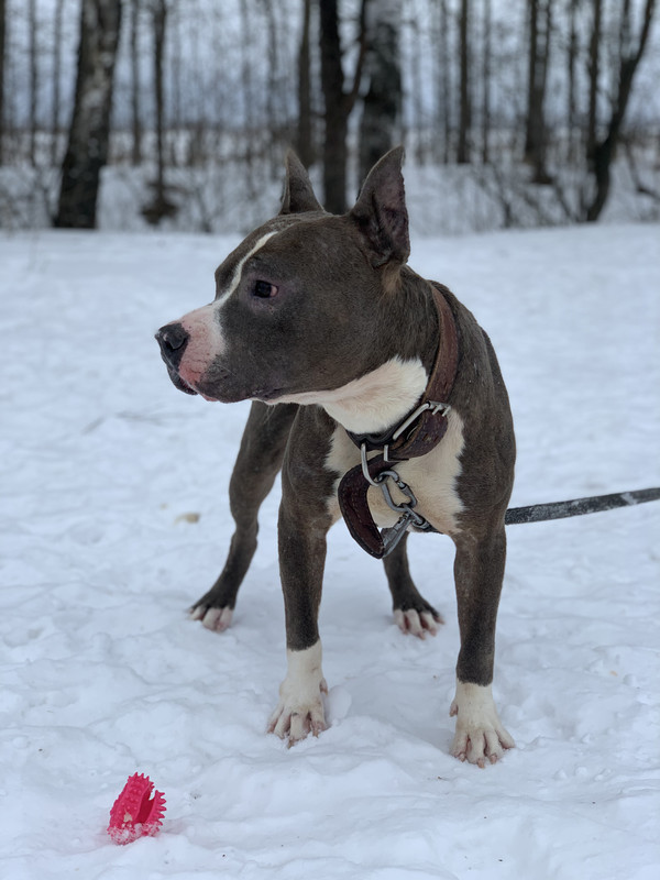 C11298D8-503F-4E8C-95C8-7799B0340385