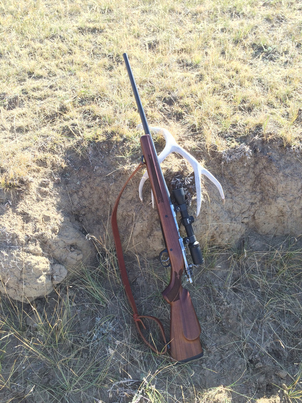 59587DCF-23E3-4CB4-BC1F-FBC772F6DC76