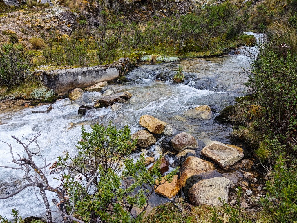 https://i.postimg.cc/L646x0YN/Image01494.jpg