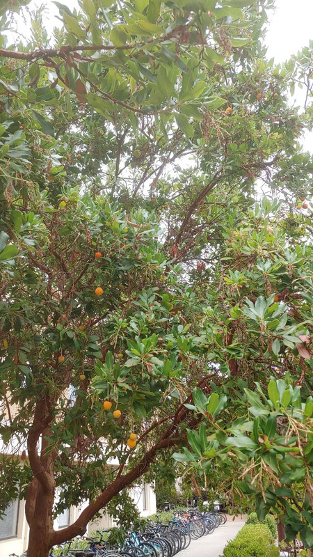 signal-2022-09-14-11-23-55-513