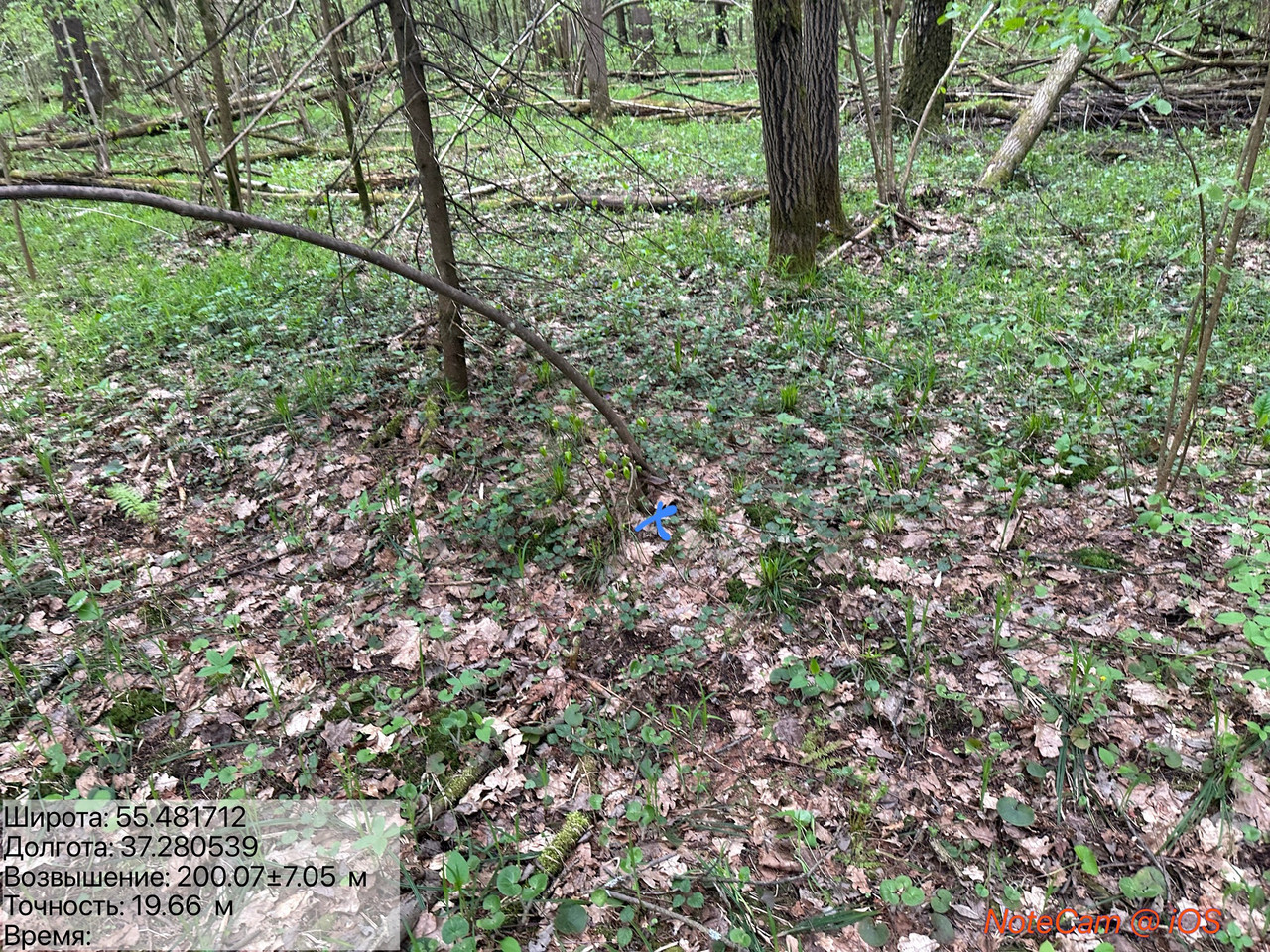 IMG E3266