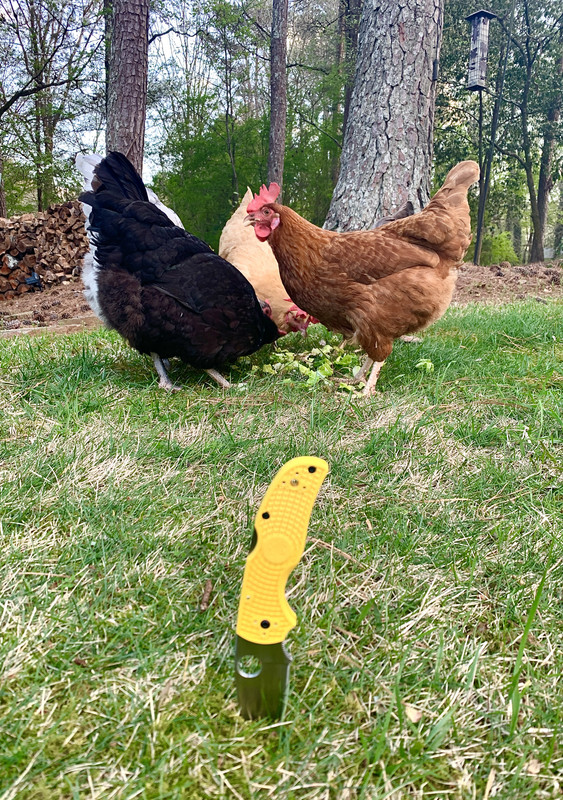 922024B9-2ABE-4AAA-A9E2-312A18157548