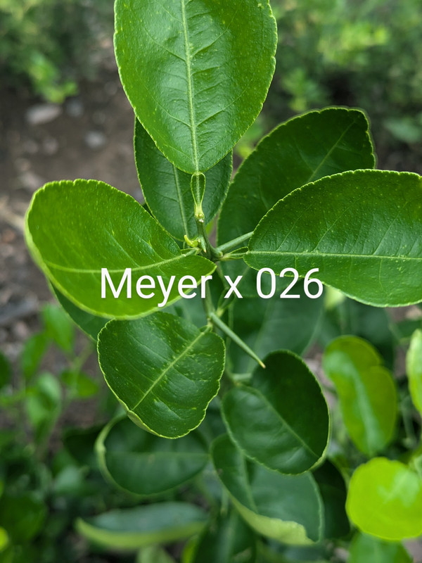 PXL_20240818_162930626~2