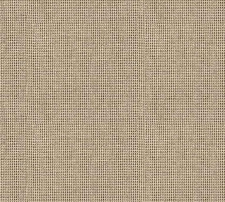 552376_388970264495931_315516582_n