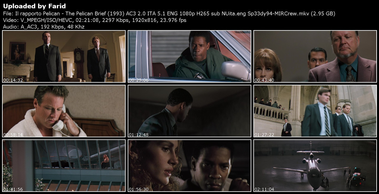 Il-rapporto-Pelican-The-Pelican-Brief-1993-AC3-2-0-ITA-5-1-ENG-1080p-H265-sub-NUita-eng-Sp33dy94-M.jpg