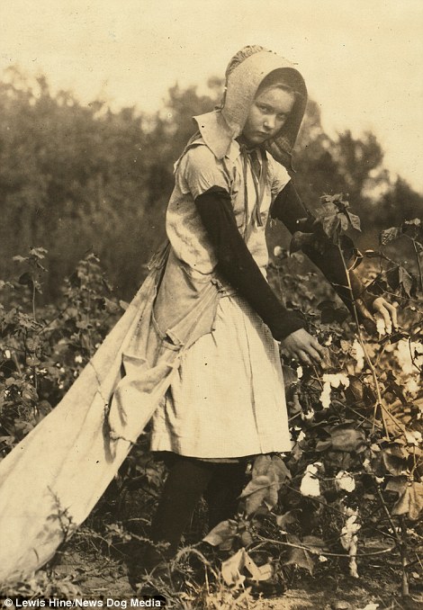 11-year-old-girl-picking-cotton-in-Oklahoma
