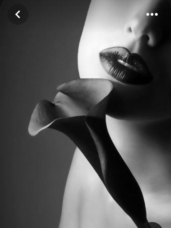 Screenshot_20230605_235040_Pinterest