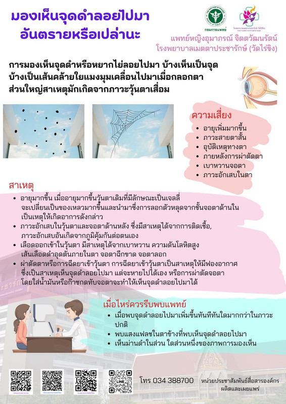 มองเห็นจุดดำลอยไปมาในตา