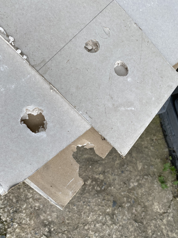 C137A455-0612-4614-A4DB-A8F823179889