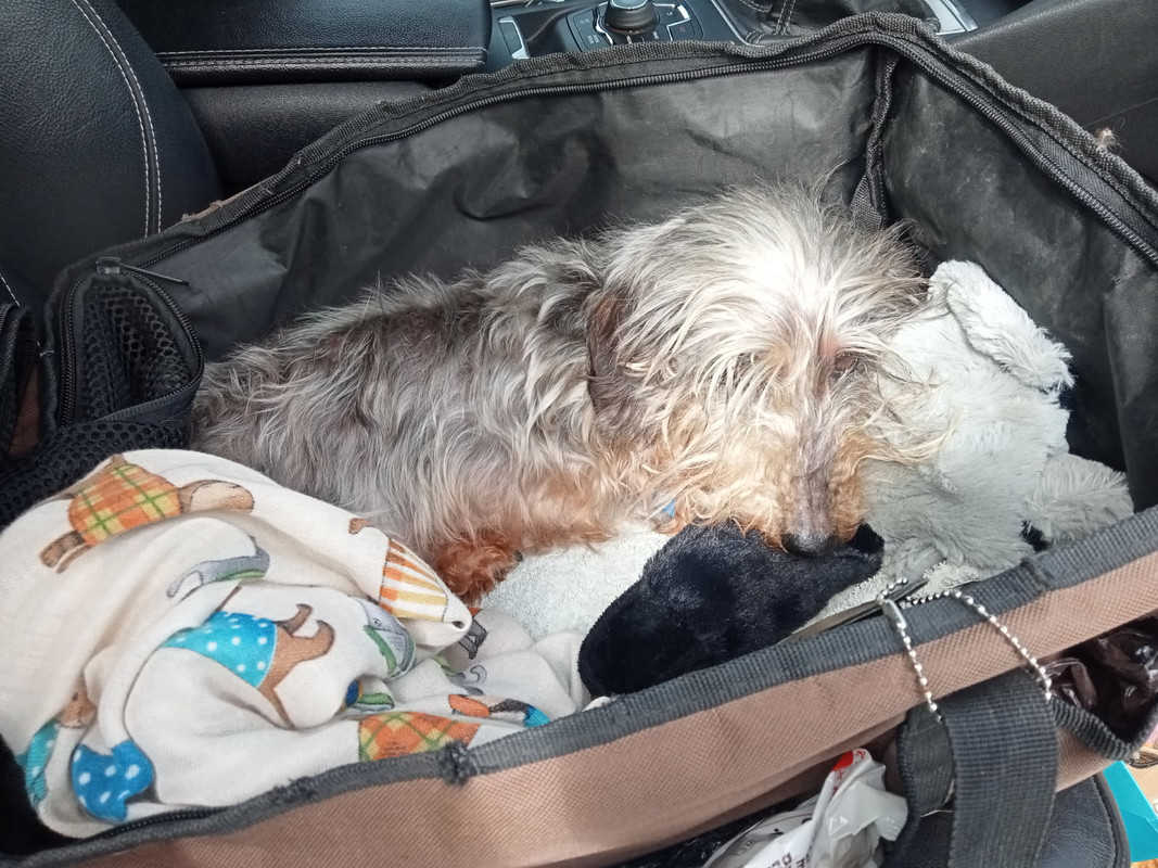 [Image: IMG-20250418-123959.jpg]