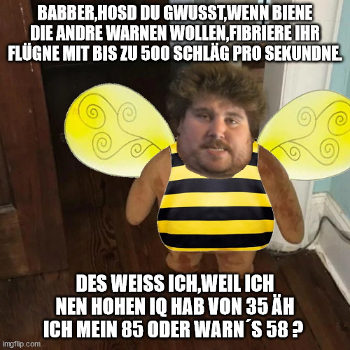 6p3bzp.jpg