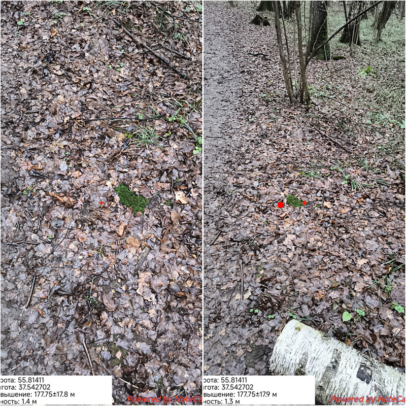 Photo Collage 1764249493158