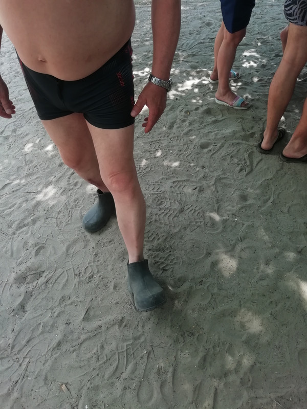 Изображение 1403