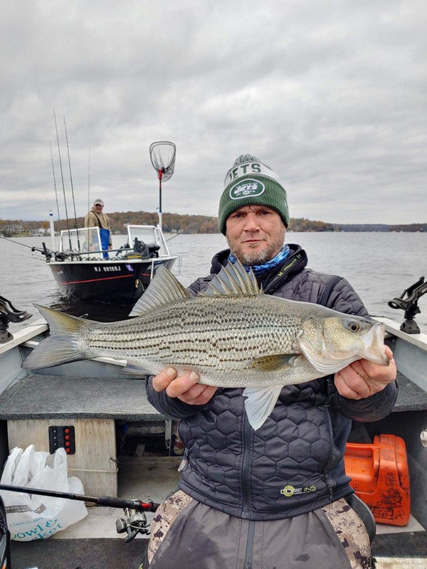 535F508A-22DC-426F-AD30-138646B12EA8