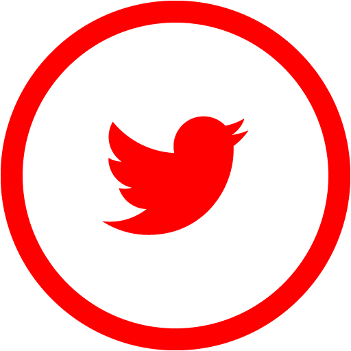 twitter icon