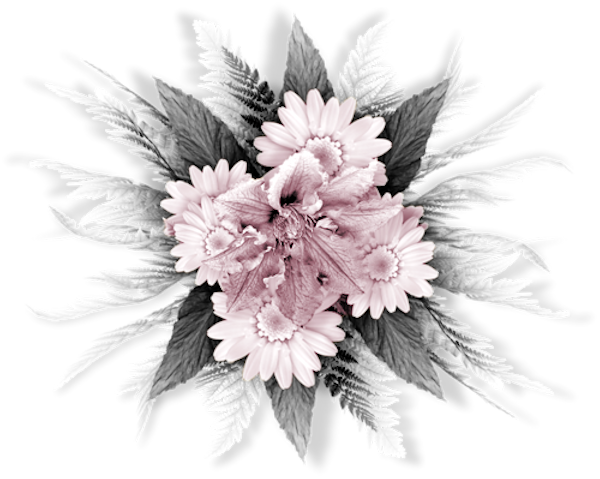 TADD_elements_PrincessParisian (129)