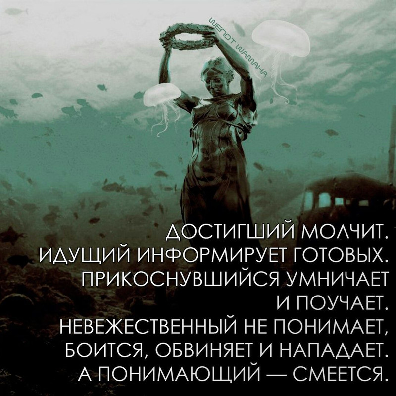 [Изображение: fabf3b23bf73ed59d3f761f4da5eb42c.jpg]