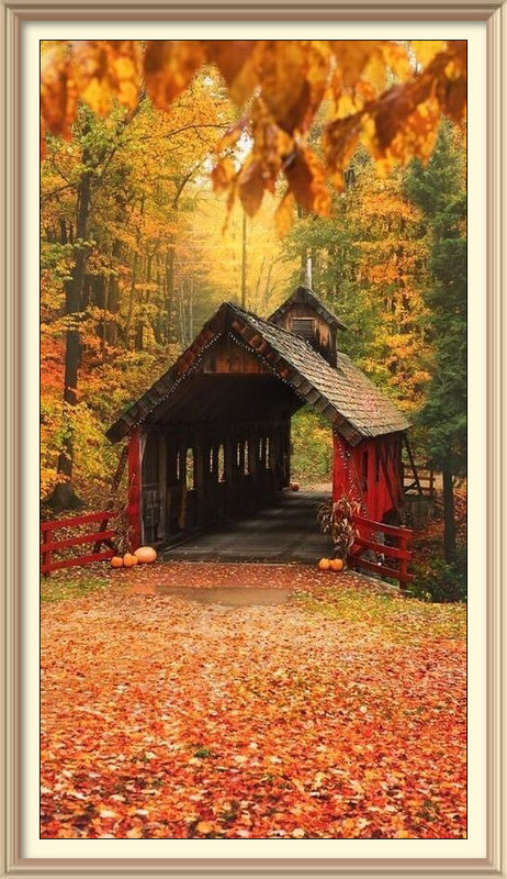 imageedit-2-8579930895