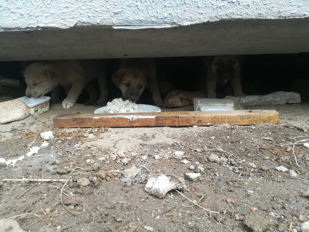 IMG_0354-27-10-18-02-44