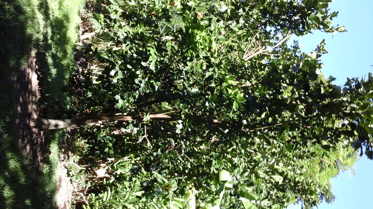 20150507_140631