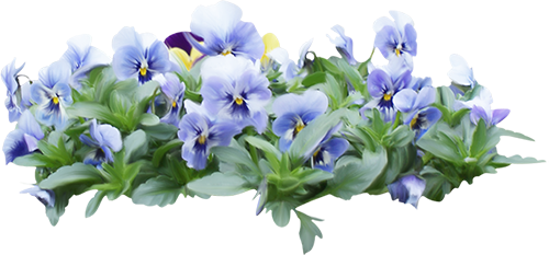 KBK_InTheSpring (127)