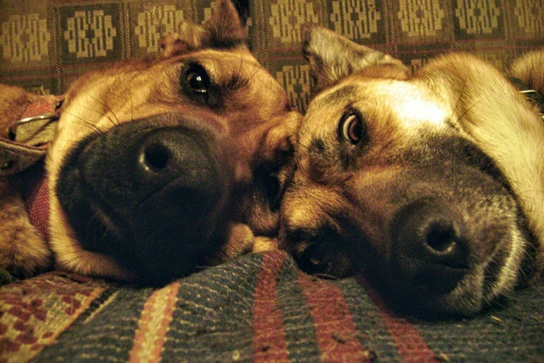 B6A7ED8B-D306-4E7F-AEDB-A1820F1E0523