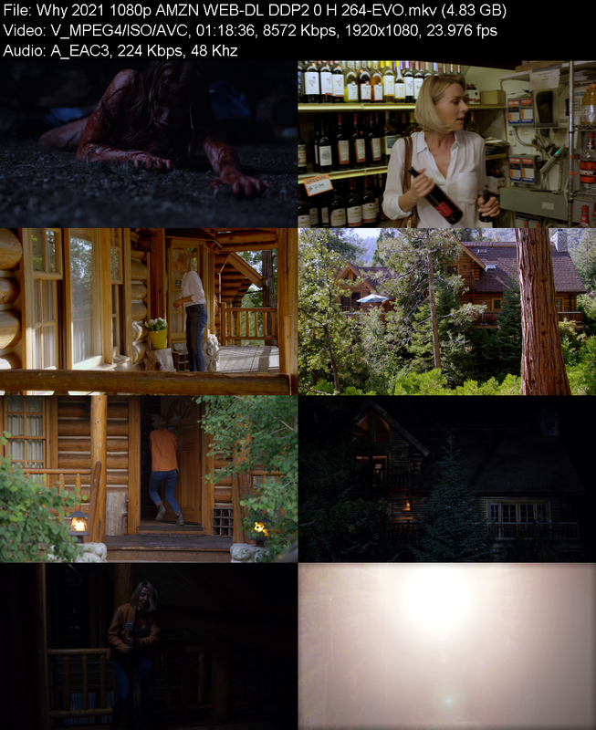 why-2021-1080p-amzn-web-dl-ddp2-0-h-264-