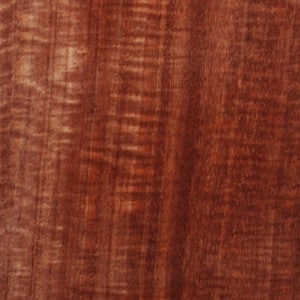 mahogany-african-300x300