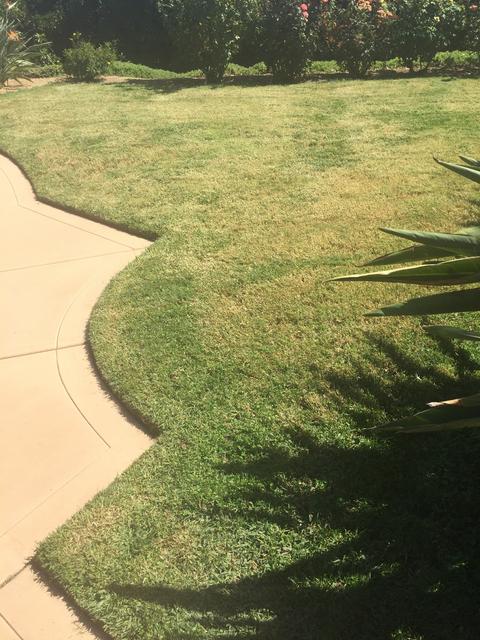 19F082D7-CE6B-4F4D-B1C7-36152E12E930