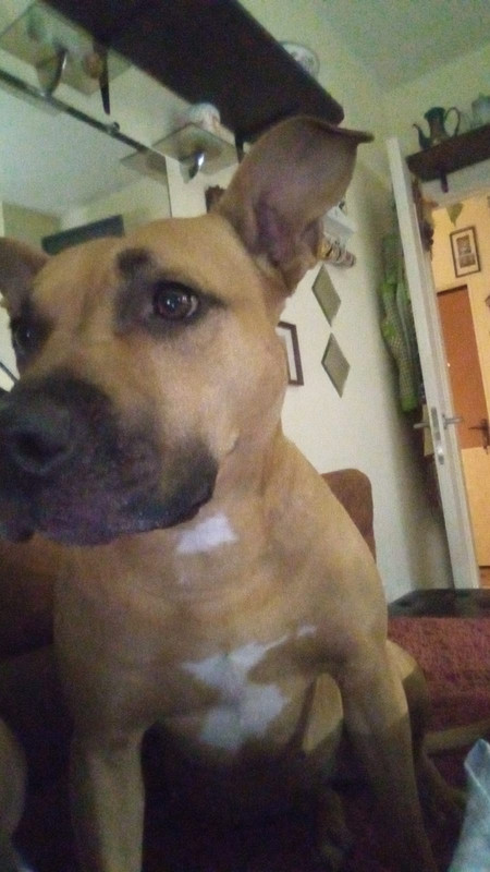 FFB23464-B922-448F-A6B0-E59886726333